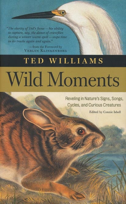 [Item #43339] Wild Moments Reveling in Nature's Signs, Songs, Cycles, and Curious Creatures. Ted Williams, Connie Isbell, John Burgoyne.