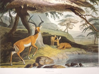 African Scenery and Animals: a Facsimile Reprint of the Aquatint Plates Originally Published in 1804-5. with an Introduction and Notes by Frank R. Bradlow