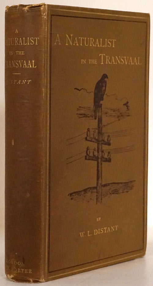 [Item #77491] A Naturalist in the Transvaal. W. L. Distant.